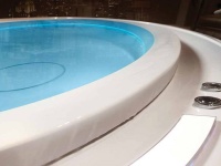 Переливной спа бассейн Treesse Fusion SPA 231